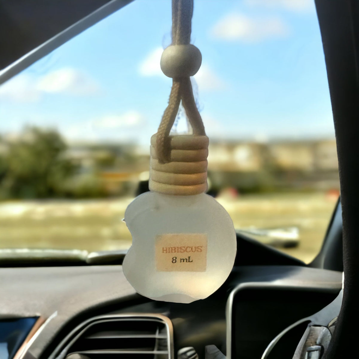 Hanging Car Rear Diffuser Hanging Car Diffuser/Freshener – gourmetafrikana