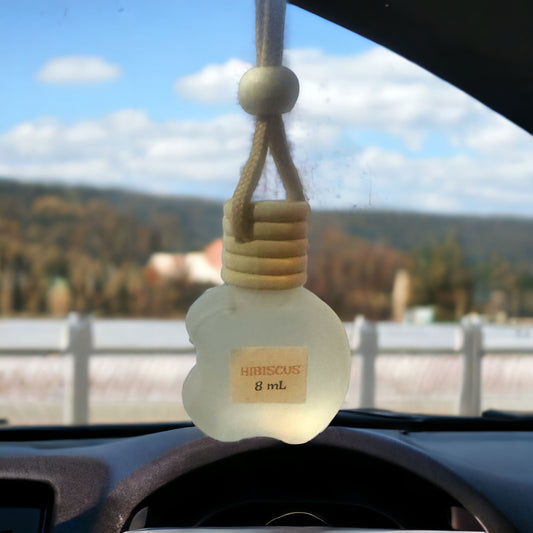 Hanging Car Diffuser/Freshener
